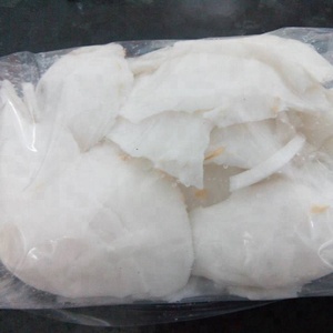 Morceaux de noix de coco surgelés individuellement pour les fabricants de boissons - Product Image 2