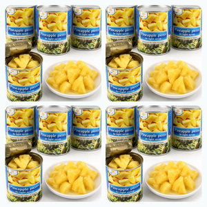 Deliciosas Trozos de Piña en Almíbar con Certificación ISO, Precio al por Mayor, Más Vendidos, Empacados en Lata A10 - Product Image 2