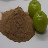 Poudre d'Amla naturelle séchée de qualité supérieure pour la brillance des cheveux, fabriquée en Inde