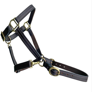Strong Sturdy Double Stitched Padded Leather Horse <b>Halter</b> Available in all custom sizes and colors with adjustable Brass Fitting - Product Image 4