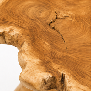 ARTERRA Premium Irregular Shape Teak <b>Root</b> <b>Coffee</b> <b>Table</b> Organic Salvaged Wood Stump Accent <b>Table</b> Resort Lobby - Product Image 3
