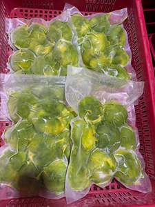 Avocat Entier IQF Congelé du Vietnam Dak Lak – Ingrédient Premium en Gros pour Smoothies, Boissons et Fabrication Alimentaire - Product Image 4