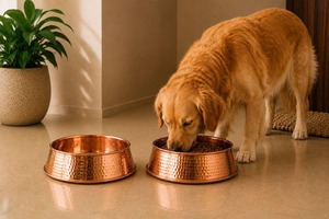 Mejor Tazón Grande de Cobre con Diseño de Metal Pulido para Fiestas, Seguro para Alimentos, Ideal para Mezclar, Servir y Exhibir a un Precio Razonable - Product Image 5