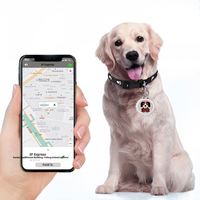 Localizador GPS Mini para Mascotas, Resistente al Agua IPX7, GSM, Plástico ABS, Dispositivo Inteligente Antipérdida para Perros y Gatos, Batería CR2032 Reemplazable