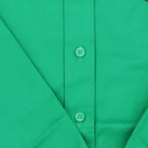 Camisa de Manga Larga para Mujer AKA, Fácil de Cuidar, Color Verde Rosa, Cierre de Botones, Camisa Informal de Uniforme para Mujer, Cómoda para Usar Diariamente en la Oficina - Product Image 5
