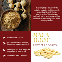 Capsules d'extrait de plantes sauvages de qualité supérieure en flacon – Soutien énergétique et vitalité – Complément naturel pour le bien-être quotidien – Qualité alimentaire