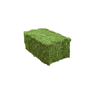 หญ้าอัลฟัลฟ่าคุณภาพสูง อาหารสัตว์แห้ง วัตถุดิบสำหรับการเกษตร - Product Image 1