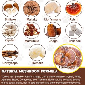 Friandises à Mâcher Multivitaminées Bio pour Chiens et Chats, Anti-Allergie et Soutien Immunitaire, à l'Extrait de Champignons Sauvages, Marque Blanche, 120g, Soutien Quotidien - Product Image 6