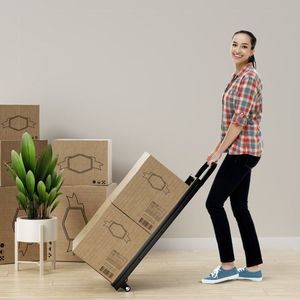 Carrello e Scala 2-in-1 con Ruote in Gomma e Maniglia Comoda per Uso Domestico, Magazzino o Garage - Product Image 3