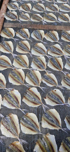 Pescado Seco con Rayas Amarillas de Grado de Exportación, Procesado Cuidadosamente para Cumplir con los Estándares Internacionales de Seguridad para la Distribución Global de Alimentos - Product Image 5