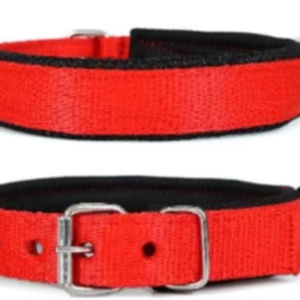 Colliers pour chiens en PP, fabrication directe d'usine, fabricant en gros en Inde, Divine International - Product Image 1