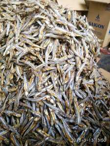 Anchoas Secas Naturales Premium, Snack Salado y Sabroso de Pescado, Suministro al por Mayor para Distribuidores Internacionales del Mercado Minorista de Alimentos - Product Image 5