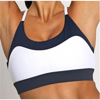 Soutien-gorge de sport pour femmes de haute qualité, vente en gros, best-seller, maintien élevé, en Spandex/Nylon, sans couture, bretelles réglables, fabriqué au Pakistan