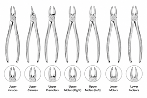 ชุดเครื่องมือถอนฟันเด็ก 7 ชิ้น แบบใช้มือ ผลิตจากสแตนเลสสตีล ทนความร้อน ฆ่าเชื้อได้ พร้อมด้ามจับตามหลักสรีรศาสตร์ - Product Image 4