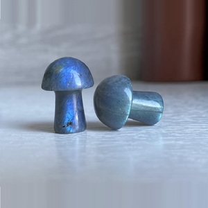 Pierre de Labradorite Naturelle Sculptée en Champignon, Cristal de Guérison pour la Méditation Reiki, Décoration Feng Shui, Vente en Gros, Chakralume Rajasthan - Product Image 6