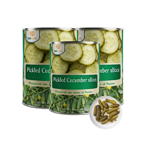 Enlatados de Pepinillos en Salmuera de Primera Calidad, Deliciosos, en Lata de 20oz, Venta Caliente de Fábrica en Vietnam - Product Image 1