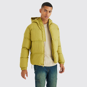 Diseña Tu Propia Chaqueta Acolchada de Primavera, Corte Ajustado, Peso Estándar, Personalizada, Venta al Por Mayor, Moda Urbana, Transpirable, con Cierre Frontal - Product Image 2