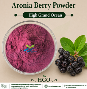 โรงงาน HGO จัดจำหน่ายโดยตรง ผงอารอนีอาเบอร์รี่ (Aronia melanocarpa) ผงแบล็คช็อคเบอร์รี่ แบบพ่นแห้งหรือแบบฟรีซดราย เกรดอาหาร - Product Image 1