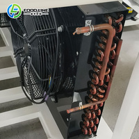 Automatische digitale besturing 4-6kg huishoudelijke voedselvacuümvriesdroogmachine