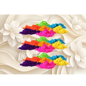 Polvo de Color Holi al por Mayor, No Tóxico, Brillante, para Festivales, Carreras de Colores, Revelación de Género, Exportación OEM - Product Image 1