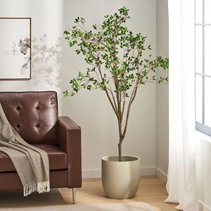 Bonsái Artificial de Hojas de Milán de 70.9 Pulgadas, Decoración para el Hogar y Regalo de Inauguración, Plantas y Follaje Artificiales - Product Image 6