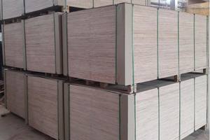 Lámina de Madera Contrachapada Comercial de Cedro Rojo de 4x8, 18 mm, 1220x2440 mm - Product Image 4