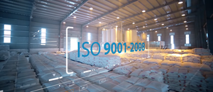 Nhat Thang VNT 7 VNT-3CS Carbonato de Calcio 90-95 HRC, Polvo Ultrafino de Alta Blancura y Brillo para Recubrimientos Epóxicos de Construcción - Product Image 4