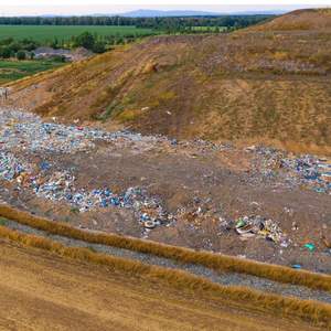 Microbes de digestion des déchets organiques pour un compostage durable - Product Image 5