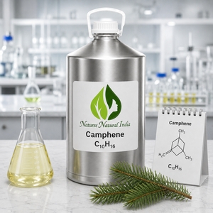 Aceite Esencial de Alcanfor Natural de la India, 100% Puro, Destilado al Vapor, Aroma a Madera de Pino, Para Todo Tipo de Piel - Product Image 4