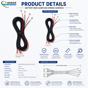 Harness Kabel Pemantau Baterai Kustom BMS Pengumpul Tegangan Terminal Cincin OEM - Product Image 3