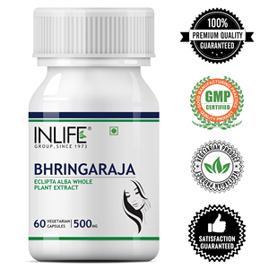 Capsules d'extrait de Bhringraj 500mg, extrait de plante entière d'Eclipta Alba, 60 capsules végétariennes, bien-être des cheveux et du cuir chevelu - Product Image 5