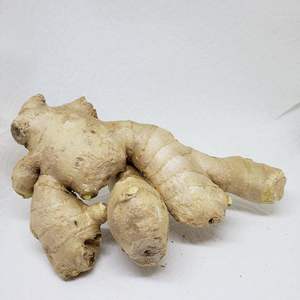 Raíces de jengibre orgánico fresco, suministro a granel, aroma intenso, alta pureza y frescura de cultivo, cuidadosamente empaquetadas - Product Image 4