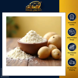Polvo de Patata Seca 100% Natural de Alta Calidad, Suministro a Granel para Uso Industrial y Alimentos Instantáneos - Product Image 6