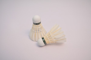 High Speed Class a Goose Feather Shuttlecock with Lightweight Foamed Plastic Graphite for Stable Professional Tournament Play - Product Image 3