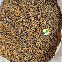Bestseller Indonesischer Nelkenstiel aus Sulawesi mit Hohem Ölgehalt Aromatisches Gewürz Großhandel B2B Lieferant PP-Beutel Verpackung 100% LC