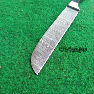Professional 8 Inch Ultra Sharp Damascus Steel Blade <b>Bread</b> <b>Knife</b> Kitchen <b>Knife</b> Chef Serrated <b>Knife</b> With Wooden Handle - Product Image 5
