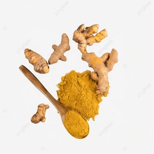 Jengibre Zenzero Jengibre Ingwer Sonth OEM 160g 100% Natural Orgánico, Jengibre en Polvo Seco Molido - Product Image 2