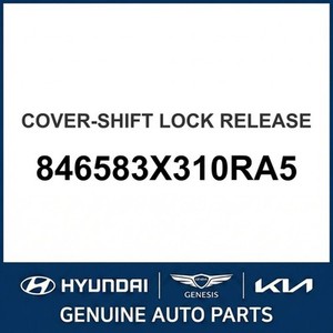 Elantra Nuevas Piezas y Accesorios para Autos y Camionetas 846583X310RA5 - Product Image 1