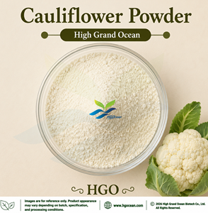 HGO Factory Direct Supply Cauliflower Powder (Food Grade) Vegetable Powder Spray Drying Freeze-dried Cauliflower Powder - Product Image 1