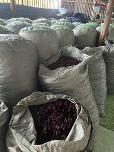 Fábrica de Flores de Roselle de Vietnam, Ingredientes de Té de Hibisco Seco al por Mayor - Product Image 4