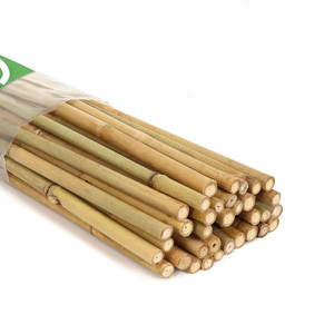 Varas de bambú natural de primera calidad para artesanía y mobiliario, al mejor precio, en venta. - Product Image 1