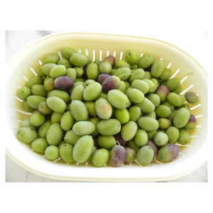 Aceitunas Verdes Frescas de Alta Calidad para Empresas de Procesamiento de Aceitunas, Proveedores de Servicios de Alimentación y Distribuidores Globales - Product Image 1