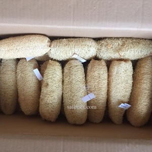 High Quality Organic Grown Natural Loofah Sponge 25-30cm for Bath and Kitchen Use Bulk Export from Vietnam Farm Good Price - Product Image 2