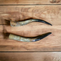 Paire de cornes de vache naturelles sculptées décoratives, 25-30 pouces, caractéristique régionale européenne, pour la décoration intérieure, cadeaux, artisanat, non polies