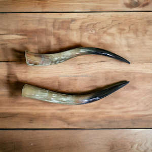 Paire de cornes sculptées décoratives en corne de vache naturelle de 25 à 30 pouces pour la décoration de la maison, cadeaux et artisanat, non polies - Product Image 5