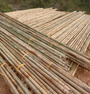 Venta caliente Postes de bambú vietnamitas-Precio barato Postes de bambú crudo para jardinería, decoración y construcción - Product Image 1