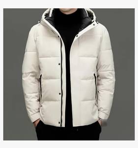 Veste matelassée à capuche pour homme, imperméable, coupe-vent, hiver, rembourrée, fermeture éclair intégrale, chaude, isolée, décontractée, pour l'extérieur - Product Image 1