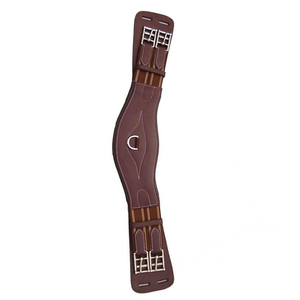 Fournisseur OEM Antares : Sangle de dressage pour cheval avec boucle en acier inoxydable et attache de sangle personnalisée en matériau de qualité supérieure - Product Image 3