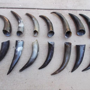 Par de Cuernos de Longhorn Pulidos para Decoración de Pared, Diseño Art Deco Ecológico, Grandes de 10 y 18 Pulgadas, para Bodas, Cumpleaños, Aniversarios, Año Nuevo - Product Image 1