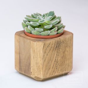 Factory Direct <b>Mini</b> Plant Stand Bundle Modern Minimal Handmade Wood Square Premium Quality Good Work Wedding Ramadan Birthday - Product Image 2